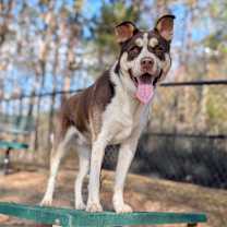 Thumbnail photo of Potter  #1