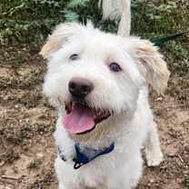 Thumbnail photo of Grover CM #1