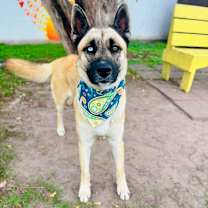 Thumbnail photo of Uno 25-11-028 #1