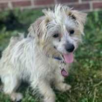 Thumbnail photo of Jack #2