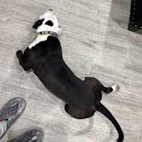 Thumbnail photo of Baby #2