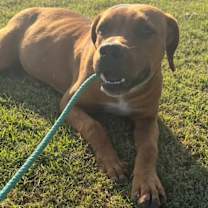 Thumbnail photo of Jack #1