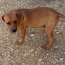 Thumbnail photo of Jack #3