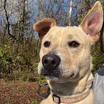 Thumbnail photo of Lowery #3