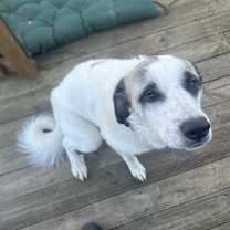 Thumbnail photo of Max #3