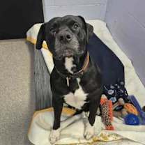 Thumbnail photo of Titan #2