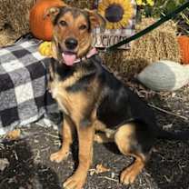 Thumbnail photo of Lucky #3