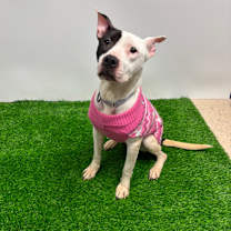 Thumbnail photo of Etta #4