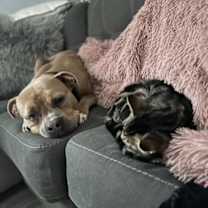 Thumbnail photo of Fendi #3