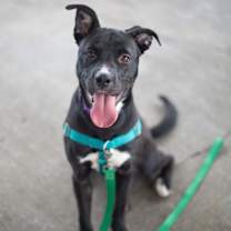 Thumbnail photo of Victoria Justice #1