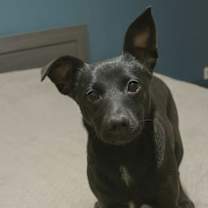 Thumbnail photo of Wasabi #2