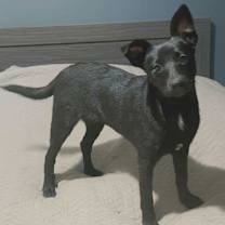 Thumbnail photo of Wasabi #3