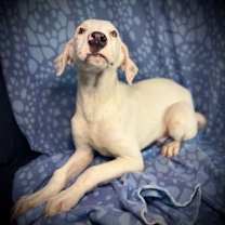 Thumbnail photo of Dilley #3