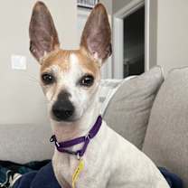 Thumbnail photo of Conan #3