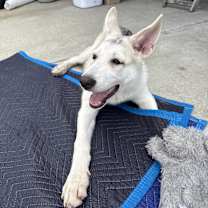 Thumbnail photo of LiLy #3