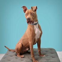 Thumbnail photo of Reynold #2