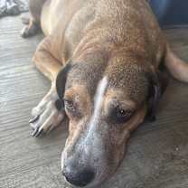 Thumbnail photo of Maui #3