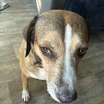 Thumbnail photo of Maui #4