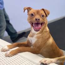 Thumbnail photo of Kirsten #1