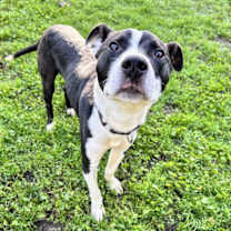 Thumbnail photo of Owen #4