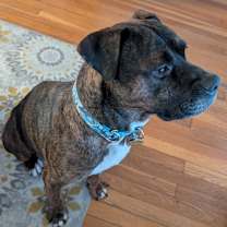 Thumbnail photo of Hubbell #1