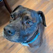 Thumbnail photo of Hubbell #2