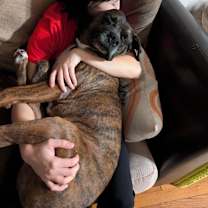 Thumbnail photo of Hubbell #4