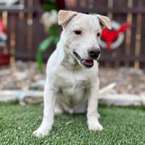 Thumbnail photo of Radar #1