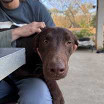 Thumbnail photo of Calvin #2