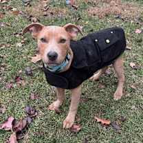 Thumbnail photo of Walley Newberry #1