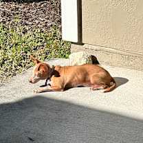 Thumbnail photo of Lady #4