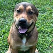 Thumbnail photo of Rebel #2