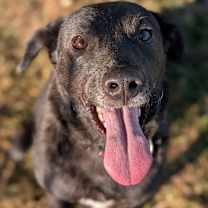 Thumbnail photo of Broud #2