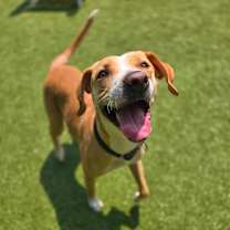 Thumbnail photo of Cinnamon Toast Crunch #3