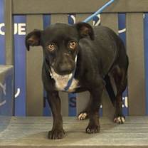 Thumbnail photo of BERGEN #3