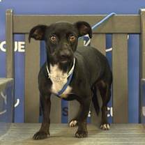 Thumbnail photo of BERGEN #4