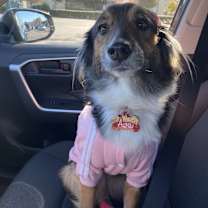 Thumbnail photo of Ava #1