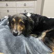 Thumbnail photo of Ava #2