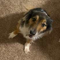 Thumbnail photo of Ava #3