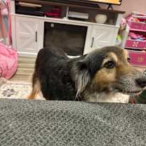 Thumbnail photo of Ava #4