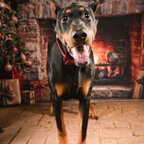 Thumbnail photo of Freddy #1