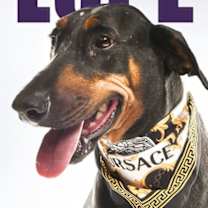 Thumbnail photo of Lupe #1