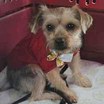 Thumbnail photo of Bree #1