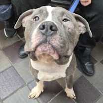 Thumbnail photo of Sterling #4