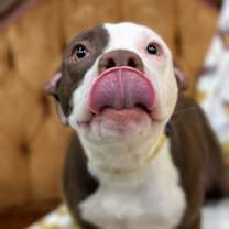 Thumbnail photo of Eric #2