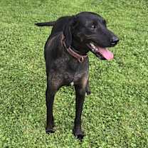 Thumbnail photo of Shadow - ME #2