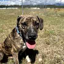 Thumbnail photo of Shai  #2