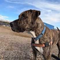 Thumbnail photo of Shai  #3