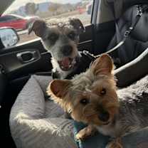 Thumbnail photo of Kobe #2