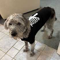 Thumbnail photo of Ruger #4